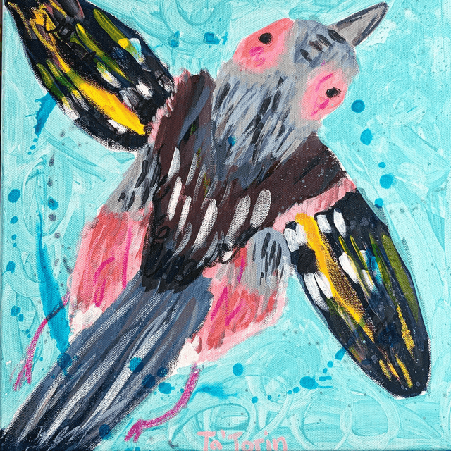 Fly chaffinch fly
